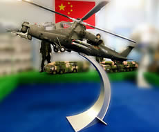 1:6比例武直十展品